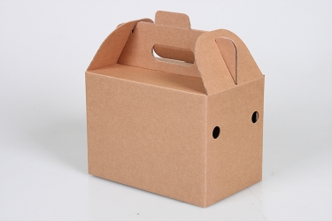 公版包裝紙盒 B-487