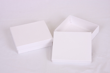 公版包裝紙盒 B-540