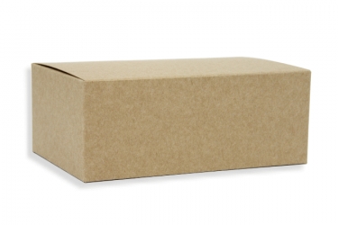公版包裝紙盒 B-231