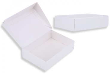 公版包裝紙盒 B-275