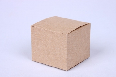 公版包裝紙盒 B-310