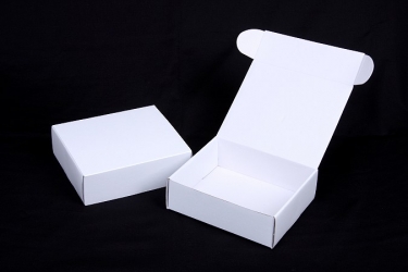 公版包裝紙盒 B-323