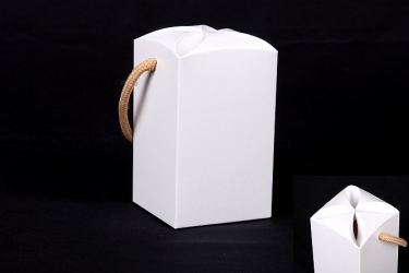 公版包裝紙盒 B-365