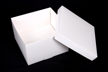 公版包裝紙盒 B-382