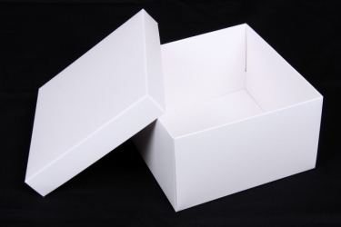 公版包裝紙盒 B-395