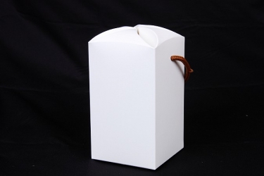 公版包裝紙盒 B-462