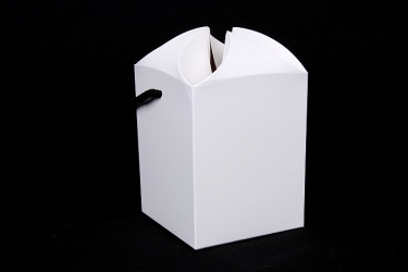 公版包裝紙盒 B-488