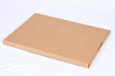 公版包裝紙盒 B-491