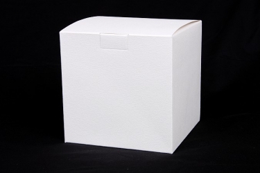 公版包裝紙盒 B-505