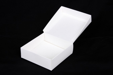 公版包裝紙盒 B-506