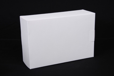 公版包裝紙盒 B-526
