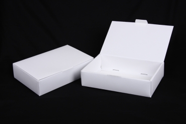 公版包裝紙盒 B-546
