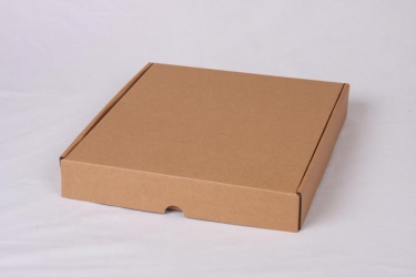 公版包裝紙盒 B-598