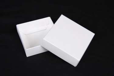 公版包裝紙盒 B-630